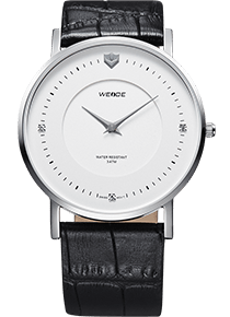 WEIDE Classic Casual Men's Quartz Wrist Watch